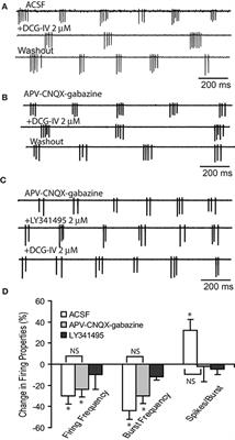 Activation of Group II Metabotropic Glutamate Receptors Suppresses Excitability of Mouse Main Olfactory Bulb External Tufted and Mitral Cells